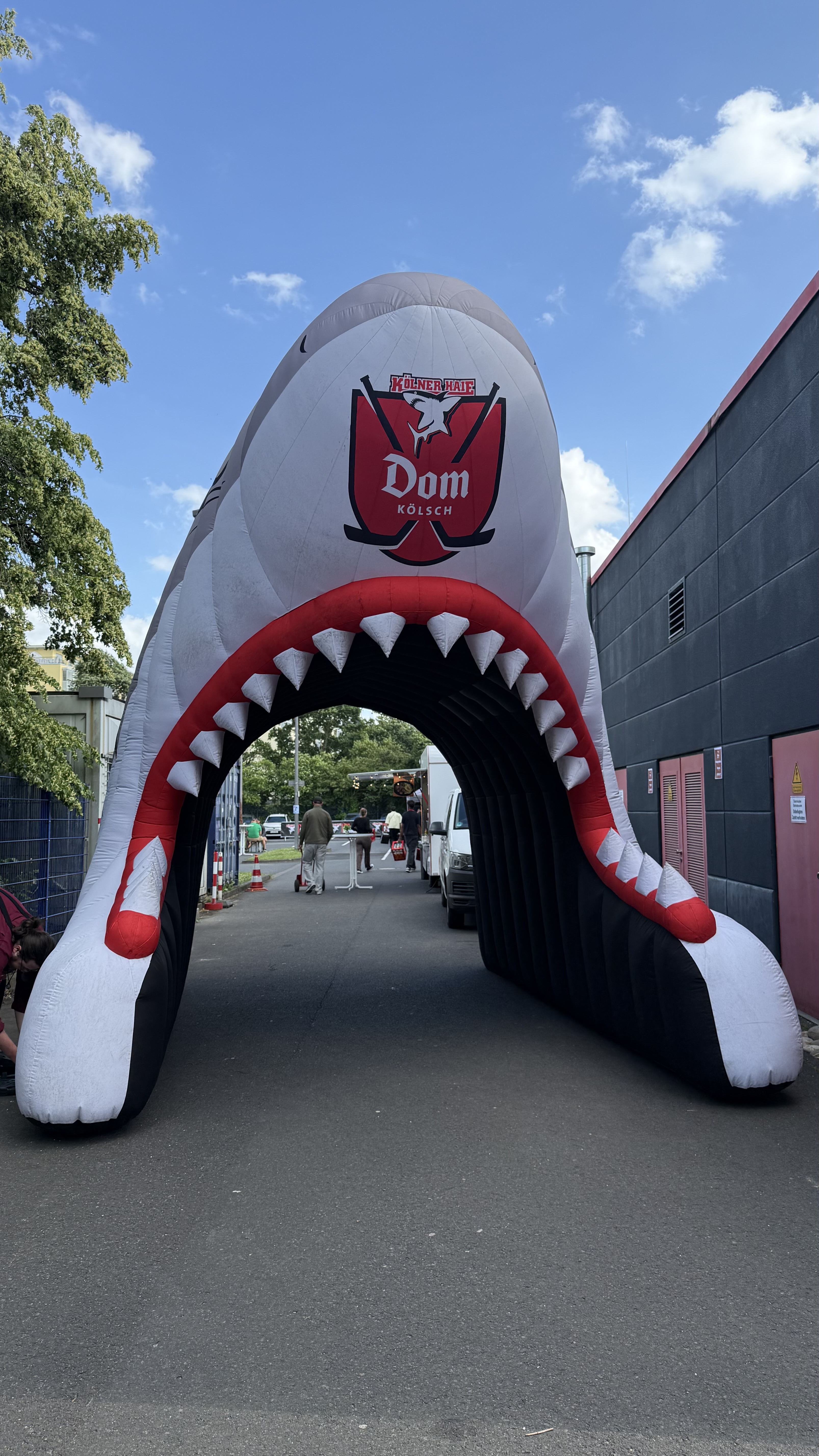 Kölner Haie